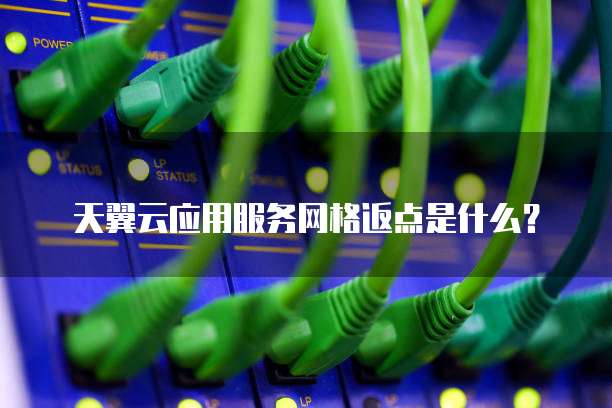 天翼云应用服务网格返点是什么？