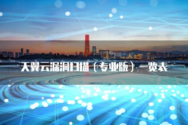 天翼云漏洞扫描(专业版)一览表