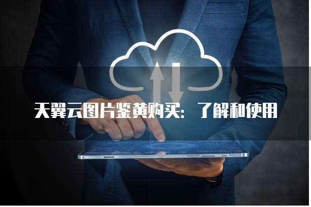 天翼云图片鉴黄购买：了解和使用