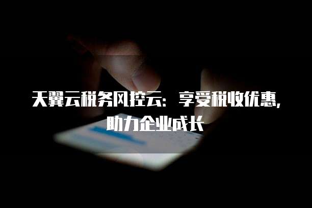 天翼云税务风控云:享受税收优惠,助力企业成长