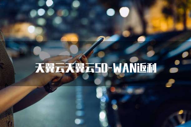 天翼云天翼云SD-WAN返利