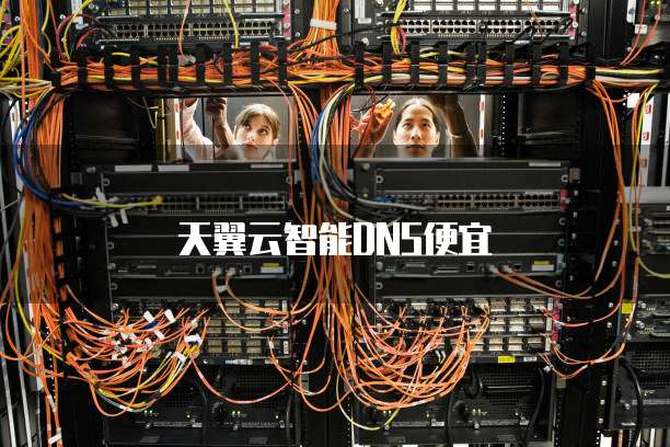 天翼云智能DNS便宜