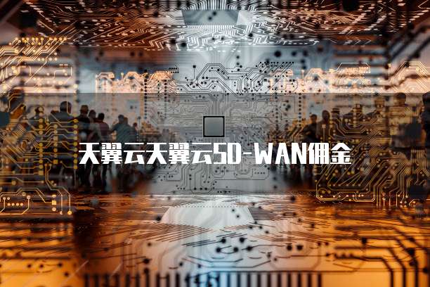 天翼云天翼云SD-WAN佣金