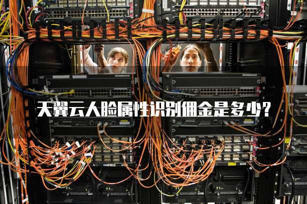 天翼云人脸属性识别佣金是多少?