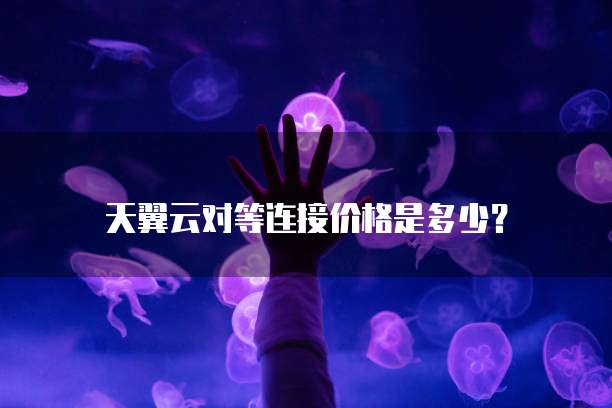 天翼云对等连接价格是多少？