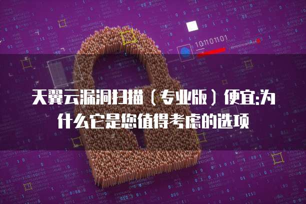 天翼云漏洞扫描（专业版）便宜:为什么它是您值得考虑的选项