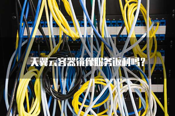 天翼云容器镜像服务返利吗？