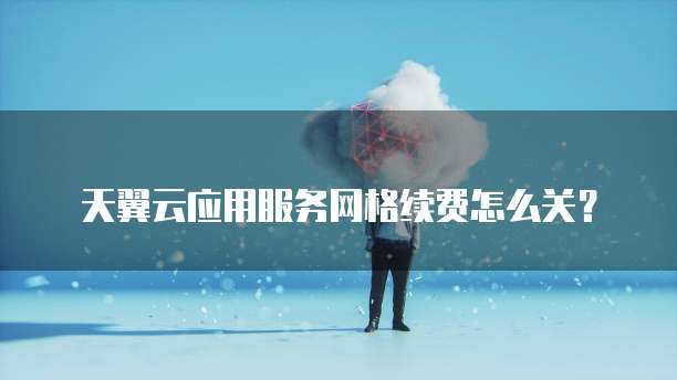 天翼云应用服务网格续费怎么关?