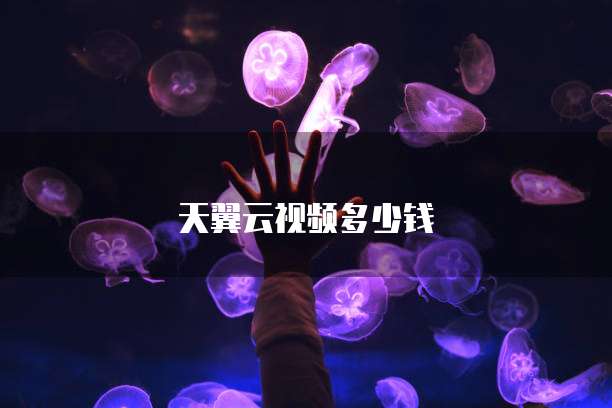 天翼云视频多少钱