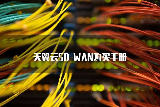 天翼云SD-WAN购买手册
