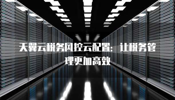 天翼云税务风控云配置:让税务管理更加高效
