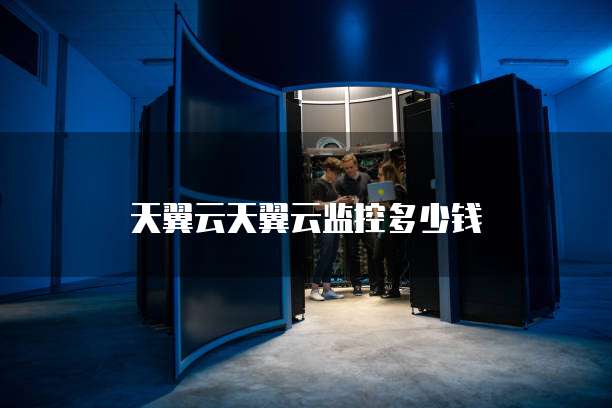 天翼云天翼云监控多少钱