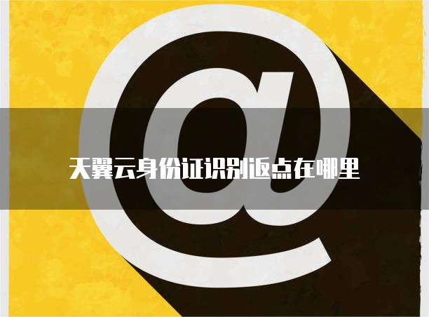 天翼云身份证识别返点在哪里
