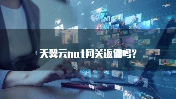 天翼云nat网关返佣吗？