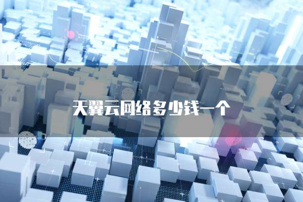 天翼云网络多少钱一个
