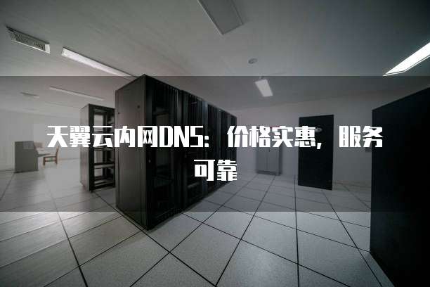 天翼云内网DNS:价格实惠,服务可靠