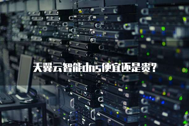天翼云智能dns便宜还是贵?