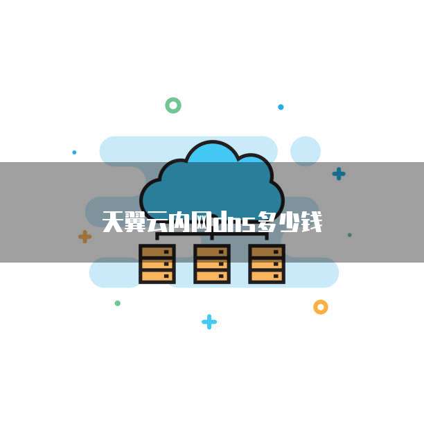 天翼云内网dns多少钱