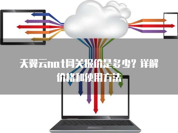 天翼云nat网关报价是多少?详解价格和使用方法