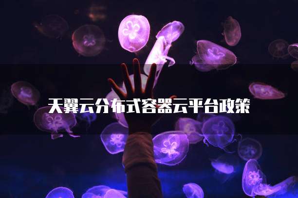 天翼云分布式容器云平台政策