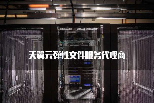 天翼云弹性文件服务代理商