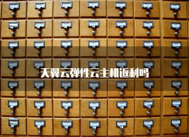 天翼云弹性云主机返利吗