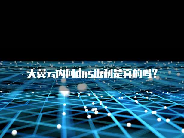 天翼云内网dns返利是真的吗？