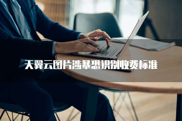 天翼云图片涉暴恐识别收费标准