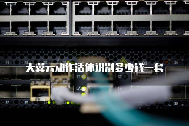 天翼云动作活体识别多少钱一套
