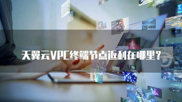 天翼云VPC终端节点返利在哪里?