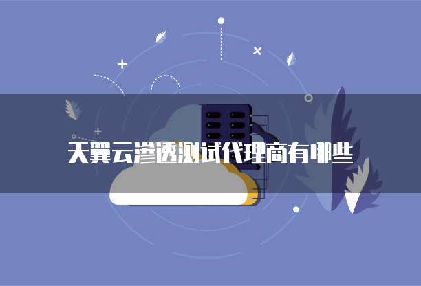 天翼云渗透测试代理商有哪些