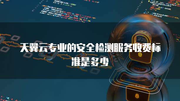天翼云专业的安全检测服务收费标准是多少