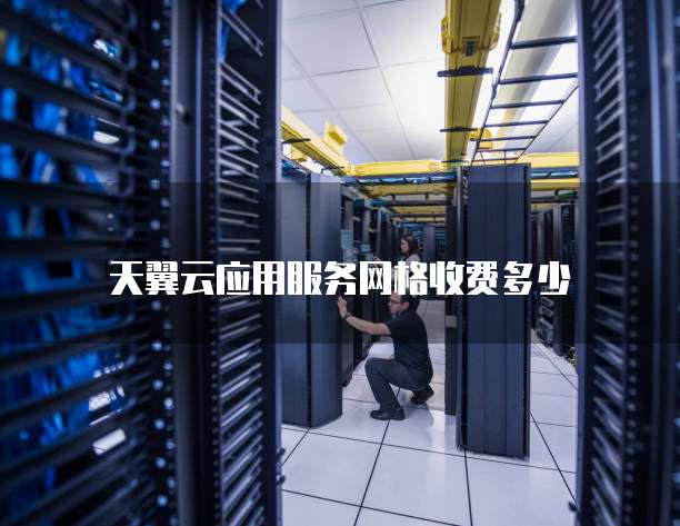 天翼云应用服务网格收费多少