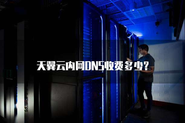天翼云内网DNS收费多少?