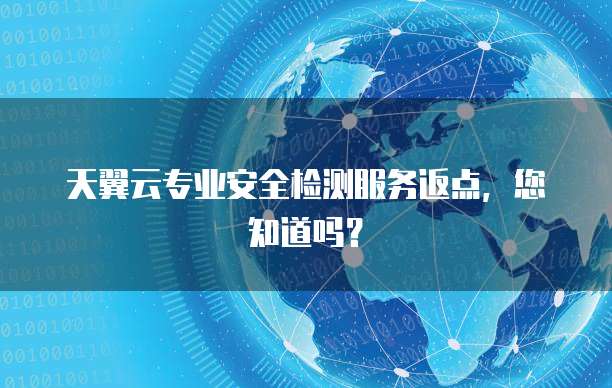 天翼云专业安全检测服务返点,您知道吗?