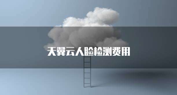 天翼云人脸检测费用