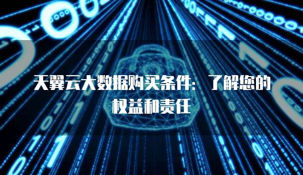 天翼云大数据购买条件：了解您的权益和责任
