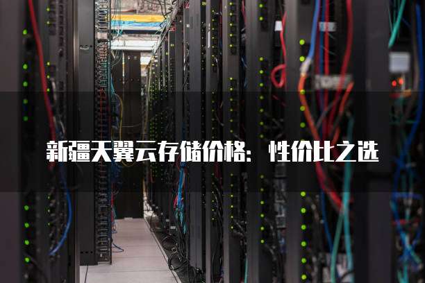 新疆天翼云存储价格：性价比之选
