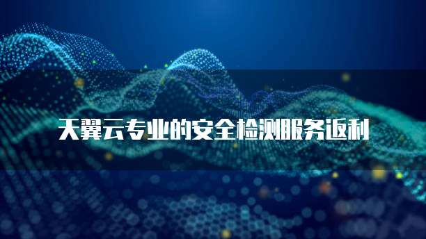 天翼云专业的安全检测服务返利