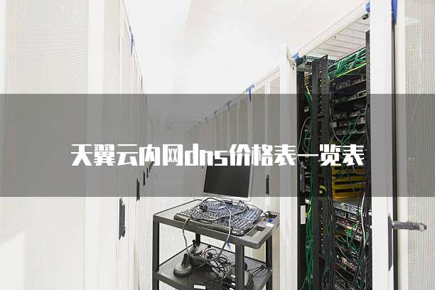 天翼云内网dns价格表一览表