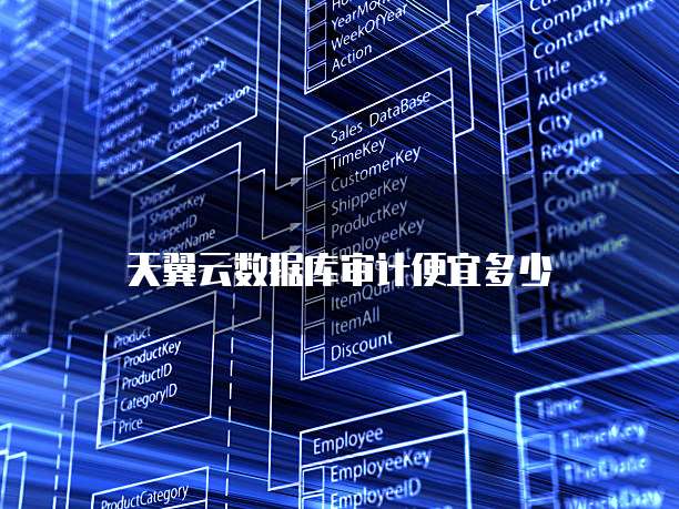 天翼云数据库审计便宜多少