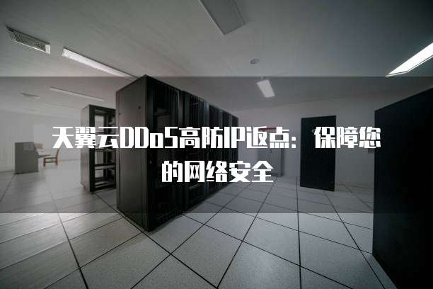 天翼云DDoS高防IP返点:保障您的网络安全