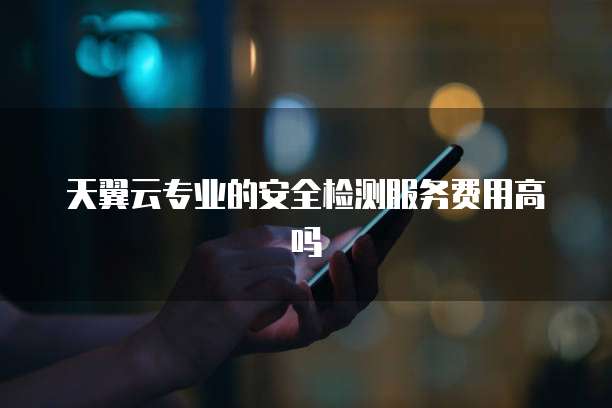 天翼云专业的安全检测服务费用高吗