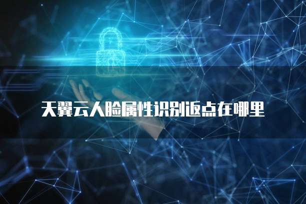 天翼云人脸属性识别返点在哪里