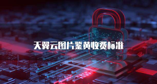 天翼云图片鉴黄收费标准