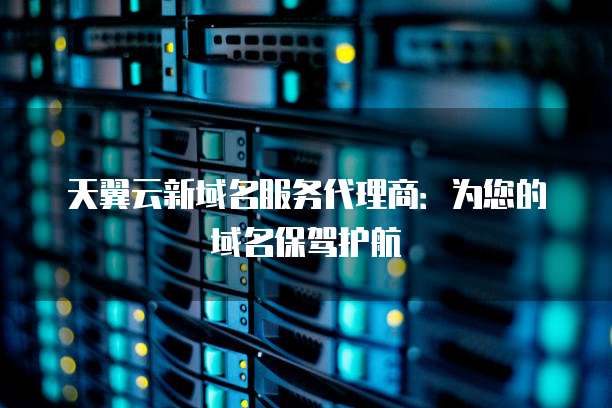 天翼云新域名服务代理商:为您的域名保驾护航