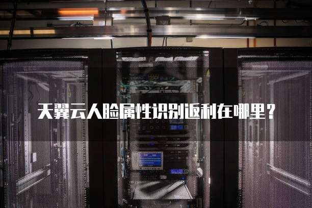天翼云人脸属性识别返利在哪里?