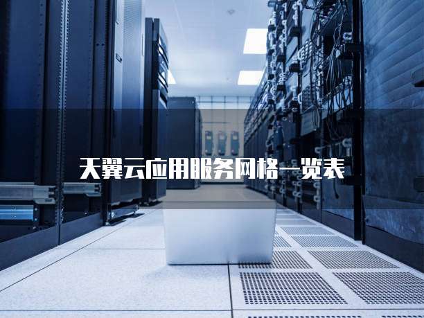 天翼云应用服务网格一览表