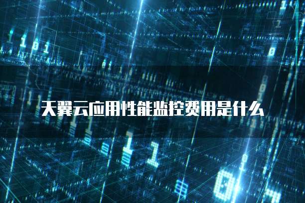 天翼云应用性能监控费用是什么