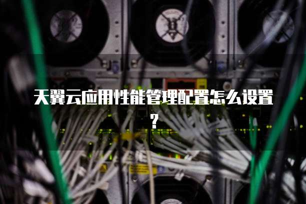 天翼云应用性能管理配置怎么设置?